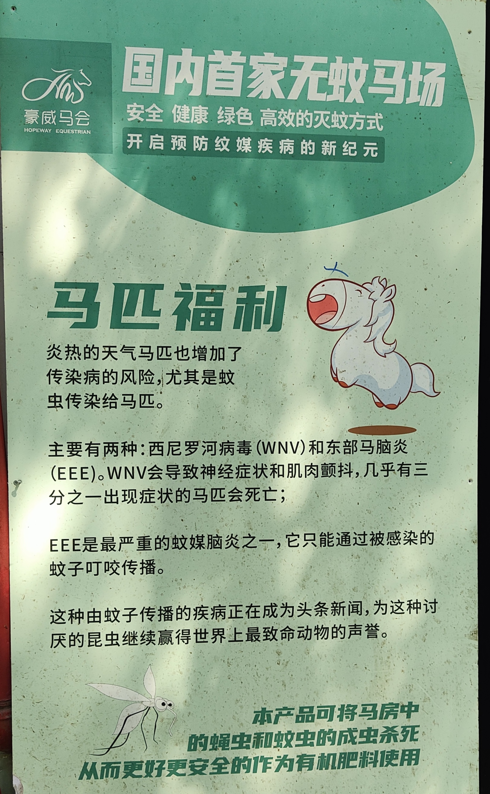 马匹福利食蚊莺入驻